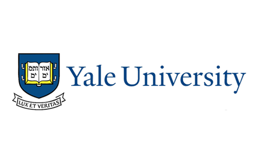 ADHD-like Behaviors in Mice: Did Prenatal Cell Phone Exposure Play a Role in a 2012 Yale Study?